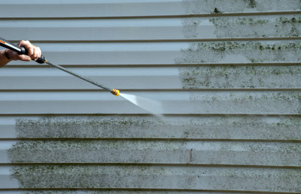 Mold Removal Process in Midway City, CA