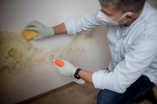 Crawl Space Mold Removal in Midway City, CA