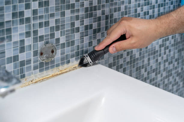 Best Affordable Mold Removal  in Midway City, CA