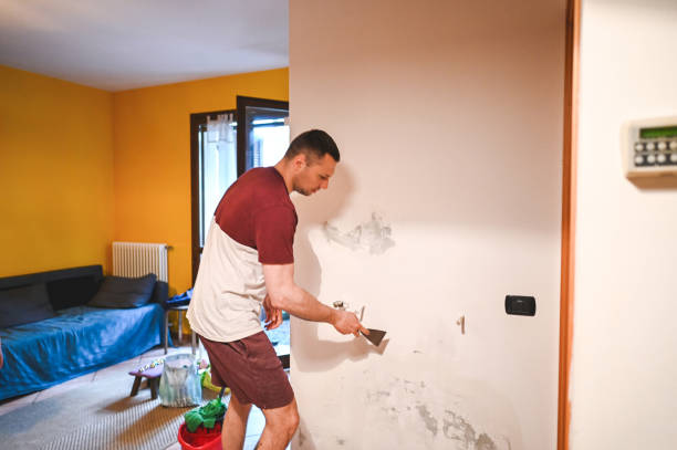 Best Toxic Mold Removal  in Midway City, CA