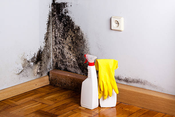 Best Mold Removal Process  in Midway City, CA