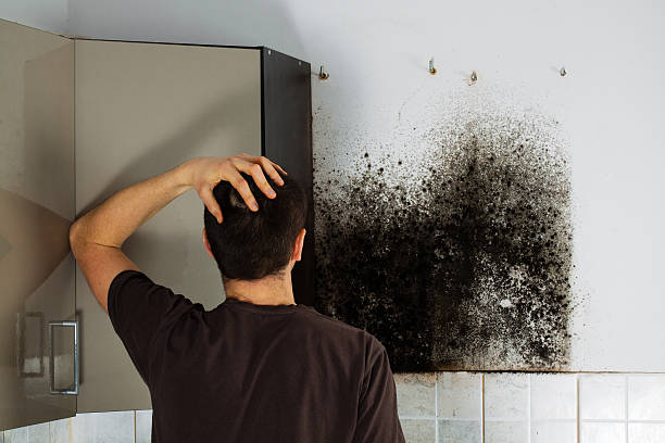 Best Mold Testing  in Midway City, CA